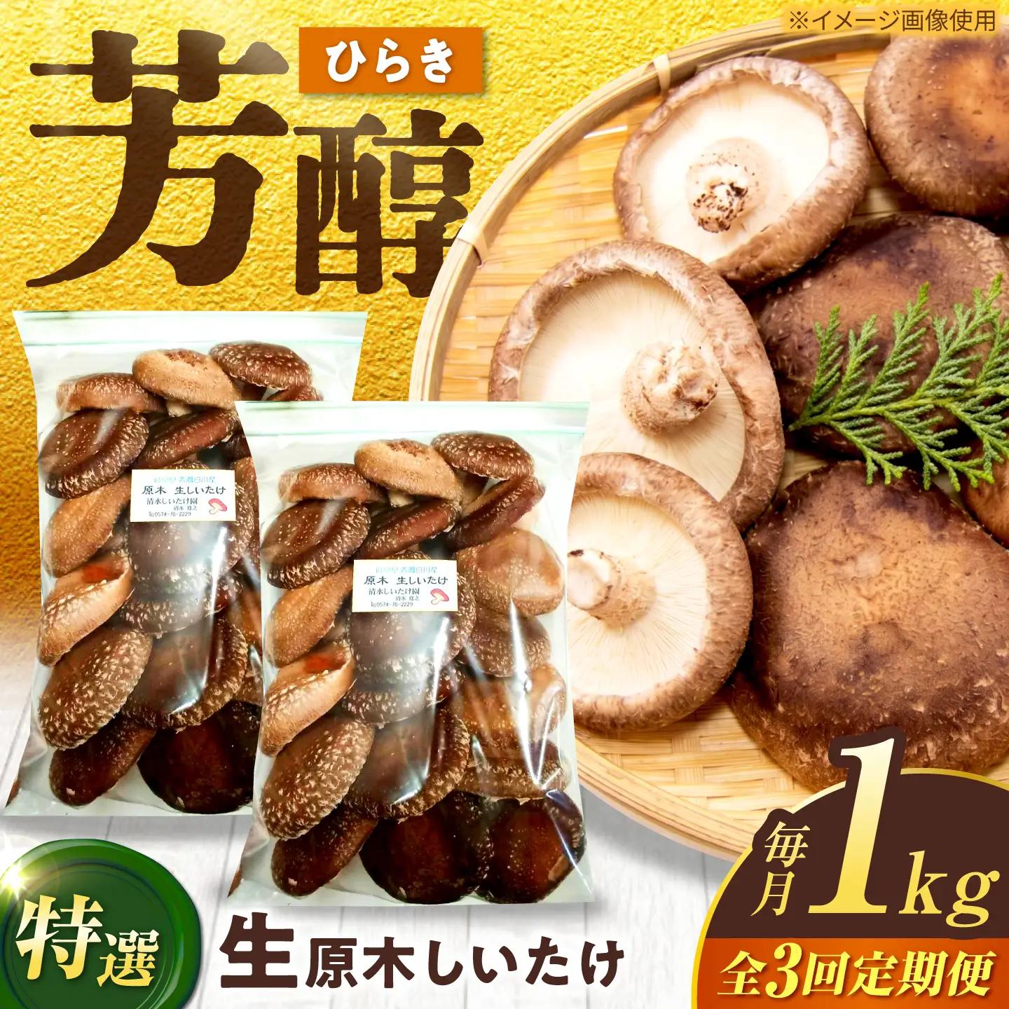 【3回定期便】生しいたけ ひらき 1kg / 清水しいたけ園[AWAY008]シイタケ