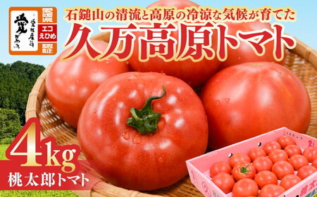 久万高原トマト 4kg 朝露に輝く 清流育ち【桃太郎トマト】久万高原町｜特別栽培 エコえひめの認証 トマト とまと トマト産地 産地直送 ソース ジュース 自然栽培 野菜 安心 安全 旬 贅沢 酸味 甘味 料理 旨み 風味豊か スープ 煮込み 新鮮 アレンジ 美味しい 人気 おすすめ 贈答 ギフト プレゼント 愛媛 ※離島への配送不可 ※2025年7月中旬頃より順次発送予定