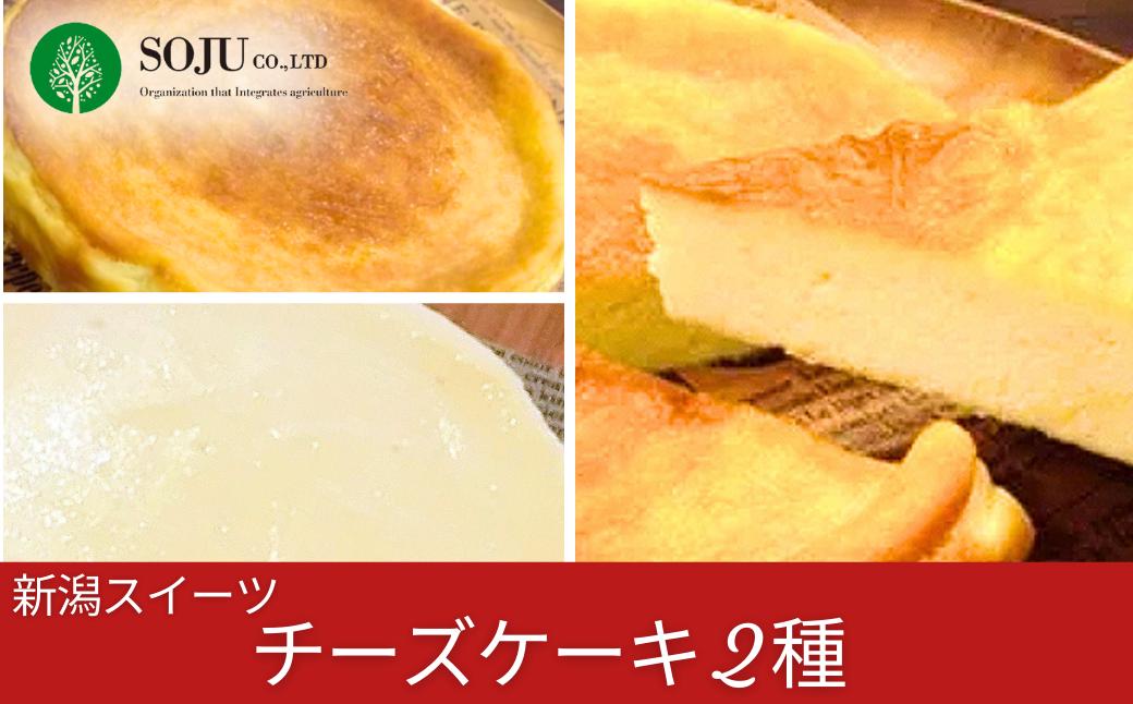 
                  [三条果樹専門家集団] 新潟スイーツ チーズケーキ 2種【018P021】
                