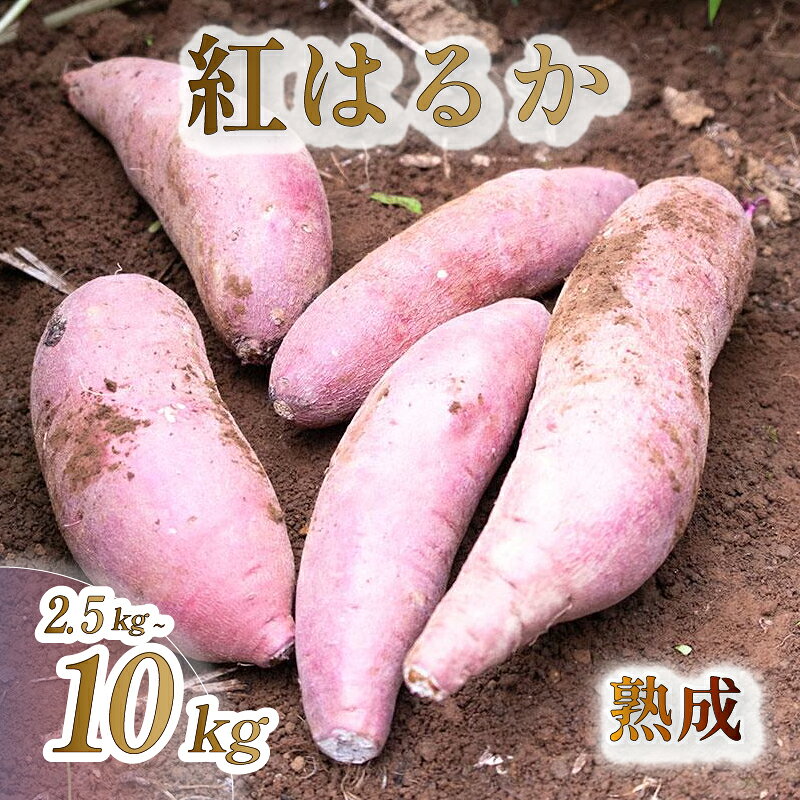 【ふるさと納税】 ＜ 2026年 11月より順次発送 ＞ 【選べる内容量】 紅はるか さつまいも【訳あり】 2.5kg or 5kg or 10kg 生 成熟 芋 いも サツマイモ 富士山 水 育った 土付き 不揃い 静岡県 沼津市