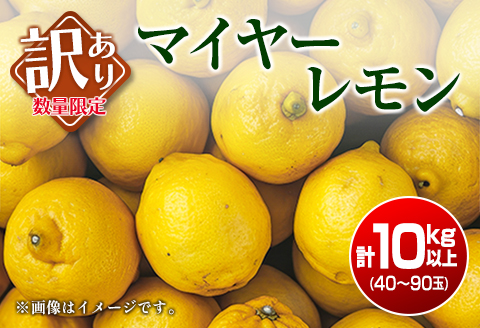 訳あり 数量限定 マイヤーレモン 10kg フルーツ 果物 柑橘 レモン 檸檬 みかん オレンジ おすすめ お土産 グルメ 国産 食品 デザート スイーツ 特産品 まるひ農園 送料無料 日南市からの贈