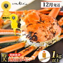 【ふるさと納税】≪浜茹で≫ 越前がに 特大 × 1杯（生で1kg以上）かに酢 かにスプーン2本 食べ方QRコード付き【雄 ズワイガニ ずわいがに 越前ガニ 姿 ボイル 冷蔵 福井県】【12月発送分】希望日指定可 備考欄に希望日をご記入ください [e38-x001_12]