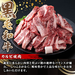 ＜定期便・全3回＞A5等級鹿児島県産黒毛和牛カルビ焼肉(計3kg・200g×5パック×3回) カルビ 焼肉 黒毛和牛【カミチク】T23