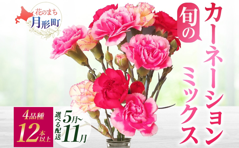 ＜2025年8月お届け＞ 北海道 カーネーション ミックス 4品種 12本以上 切り花 切花 花束 ブーケ 季節 旬 生花 フラワー アレンジメント 記念日 産地直送 つきがたふるさと花の会