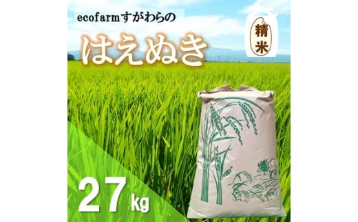 【令和7年産・精米】ecofarmすがわらの庄内米はえぬき27kg