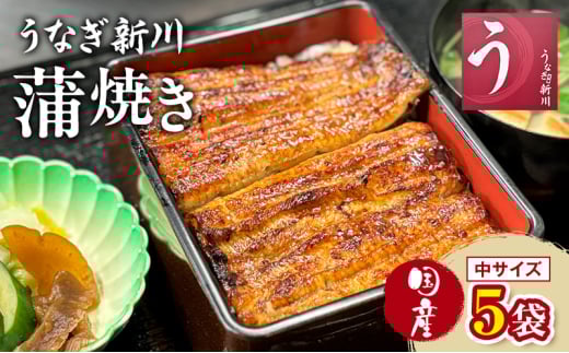 [№5904-0599]うなぎ新川 蒲焼き（国産中サイズ）5袋入り 鰻 うなぎ蒲焼 蒲焼 国産 国産うなぎ 三河一色産 タレ付き うな重 冷凍 成田市 千葉県