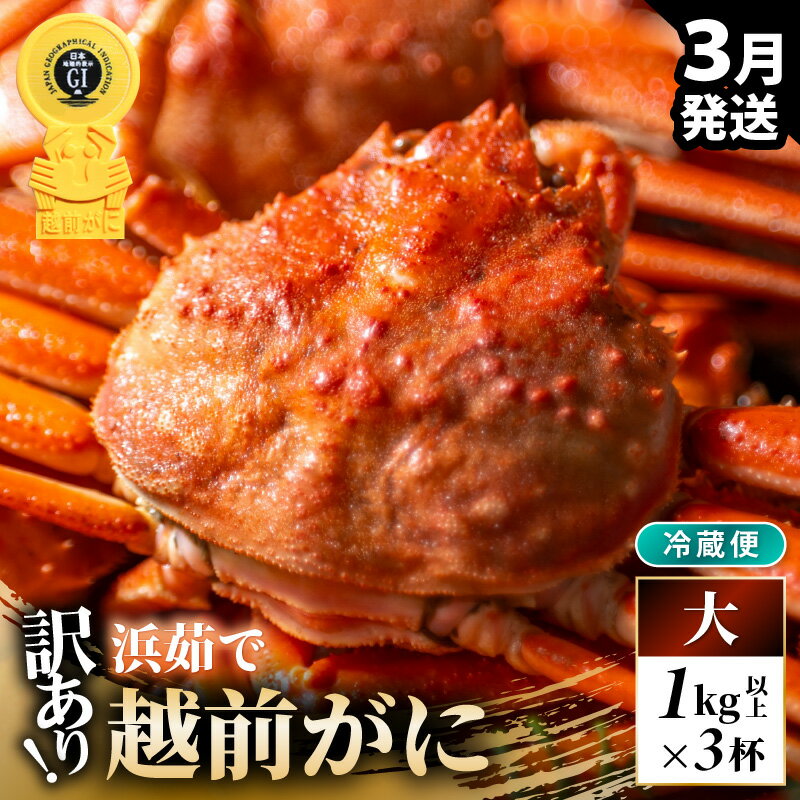 【ふるさと納税】【先行予約】【冷蔵】越前がに 訳あり 足折れ 大 1.0kg以上（茹で前）×3杯【2026年3月上旬以降順次発送予定】