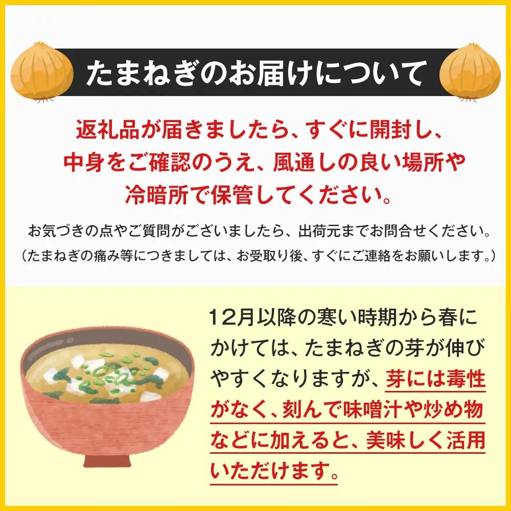 五斗長玉ねぎ 10kg　玉ねぎ