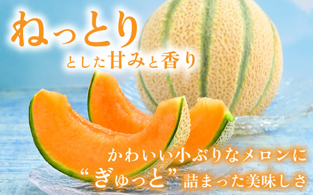 【先行予約】マルセイユメロン 2玉 約2.4kg（約1.2kg以上×2玉）大人気の赤肉品種！高級メロンの味わい ／ 果物 フルーツ ギフト 農家直送 ※2025年6月上旬以降順次発送  [aw065-