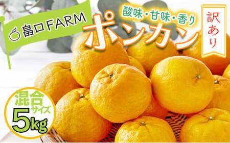 【先行予約】訳ありポンカン ＜5kg＞ サイズ混合 【畠口FARM（畠口　佳養）】