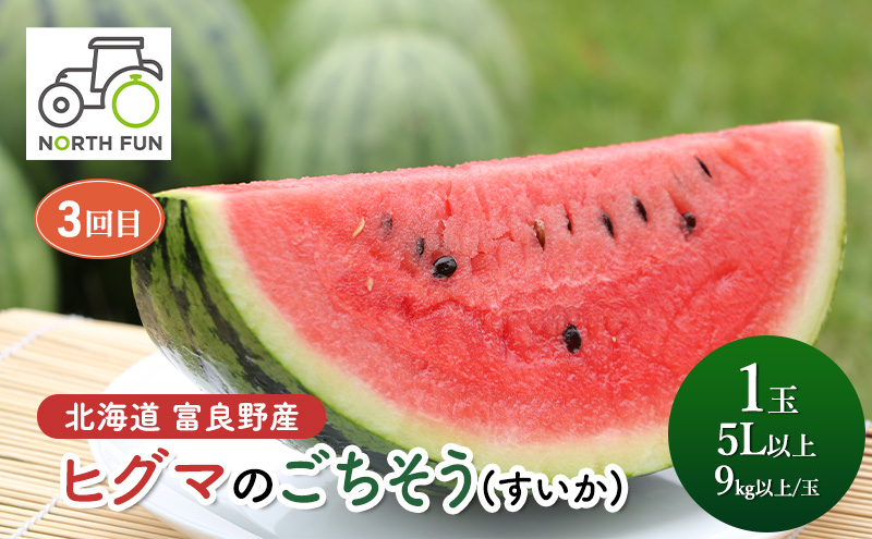 【夏から全3回】北海道富良野市の新鮮で甘い！！とうもろこし・メロン・スイカを味わい尽くす！NORTH FUN が贈る感動定期便