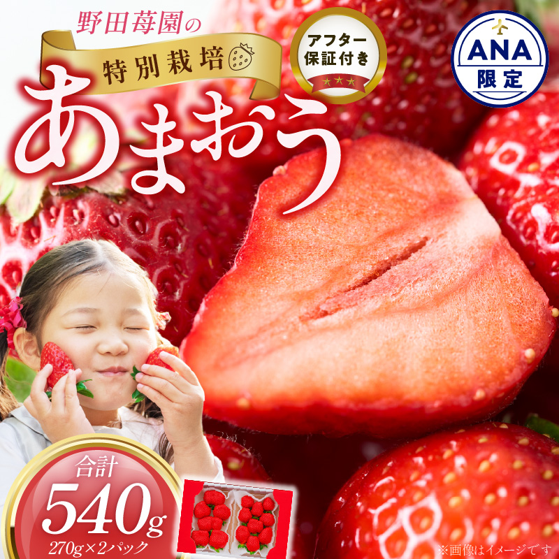 【ANA限定】苺（あまおう）270g×2パック×1箱 _ 特別規格 少量 気軽 限定セット 野田苺園 苺農園 こだわり 安心安全 新鮮 フルーツ 果物 ブランドいちご 福岡産 国産いちご おやつ デザート お取り寄せ 福岡県 久留米市 送料無料 _ Fi083