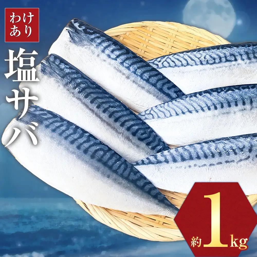 訳あり 塩サバ 1kg サバ 西川
