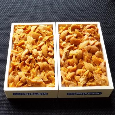 ふるさと納税 根室市 冷凍エゾバフンウニ(赤系)150g〜170g×2折 C-71021