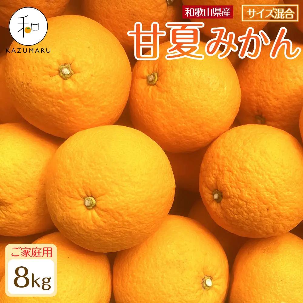 家庭用 森本農園の手選別 甘夏みかん 約8kg 和歌山県産 サイズ混合 ［北海道・沖縄・離島配送不可］［2027年4月上旬から順次発送］［RN71］