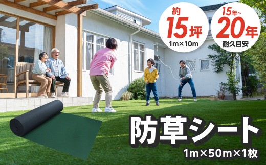 防草シート 1m×50m リバーシブルタイプ（緑×黒）【配送不可地域：北海道・沖縄・離島】 【030A-003】