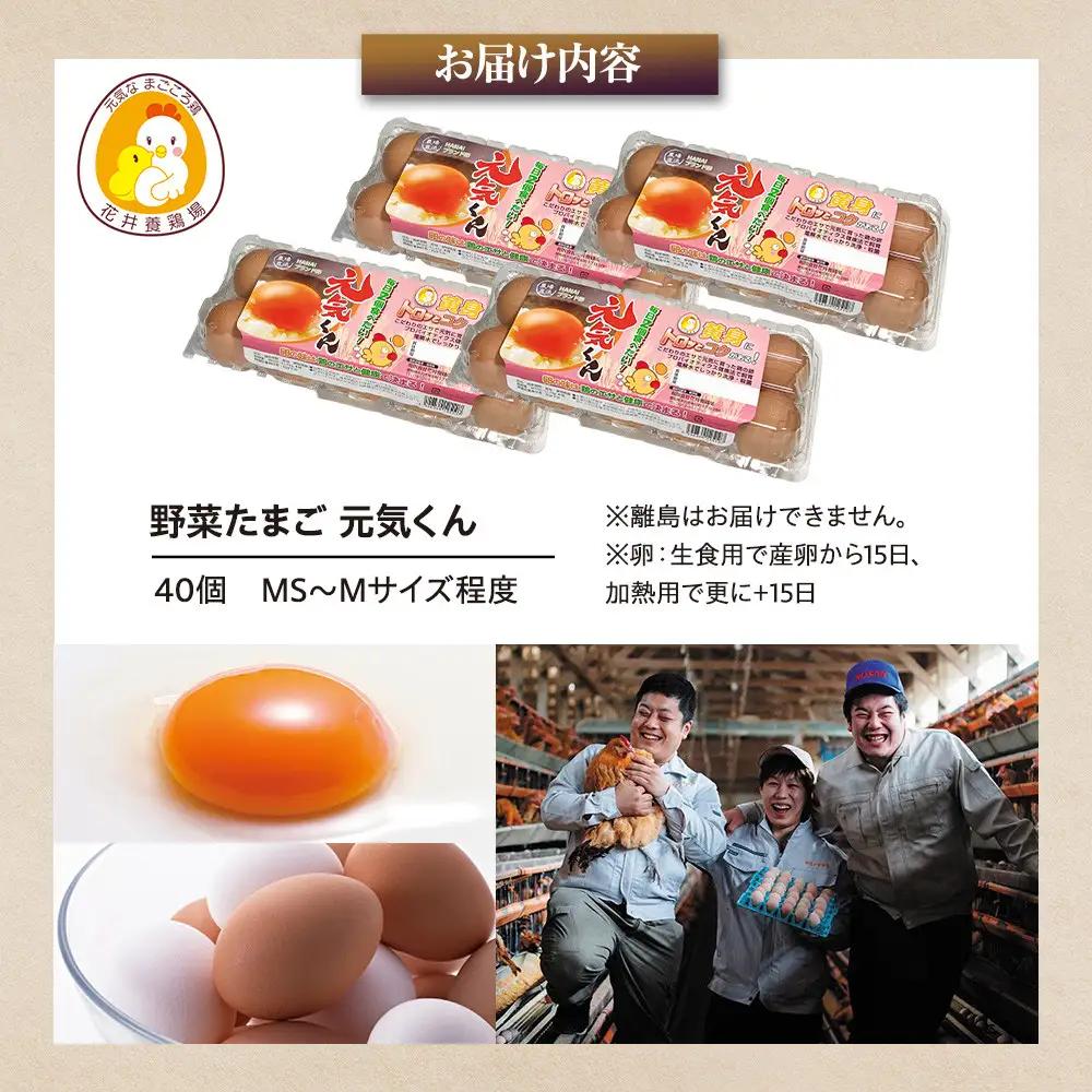 卵 「野菜たまご 元気くん」 40個 卵