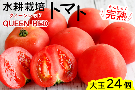 水耕栽培トマト(大玉)【0621】