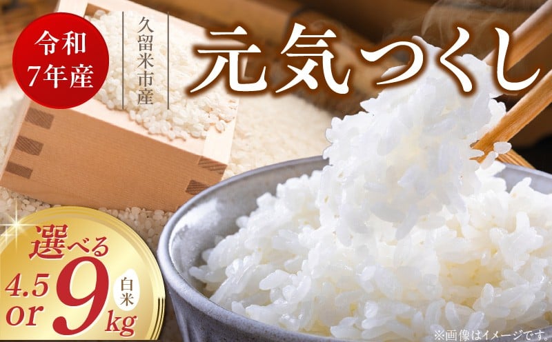
            【令和7年産 新米】福岡県産ブランド米元気つくし 白米 4.5kg・9kg_令和7年産 新米 元気つくし 白米 選べる 内容量 4.5kg 9kg 福岡県産 ブランド米 精米 鮮度抜群 新鮮 福岡生まれ 品種 香り豊か ふっくら 食感 ご飯 白ご飯 おにぎり 弁当 お米 食品 お取り寄せ 九州 久留米産 福岡県 久留米市 送料無料
          