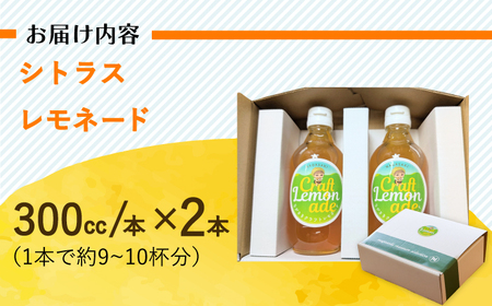 佐世保シトラスレモネード（大瓶サイズ）2本入り 長与町/ながさきミュージアム[EBU006]