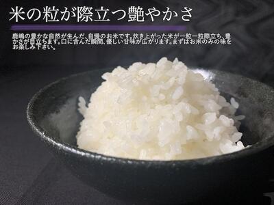 米 こしひかり 5kg 令和7年度産 特別栽培米 米