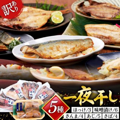 ふるさと納税 気仙沼市 訳あり 干物 5種 5p 20565255