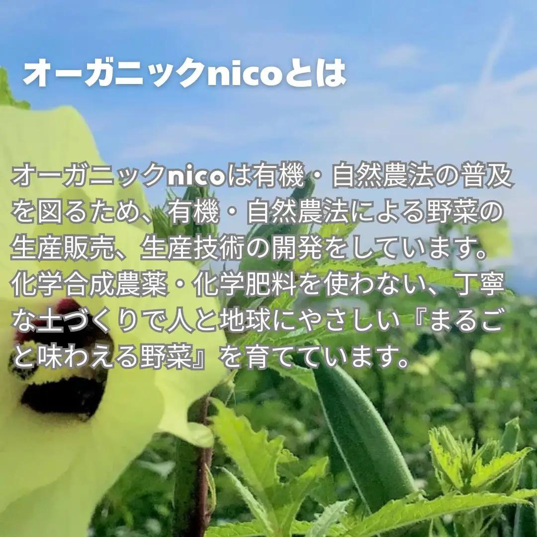 【オーガニックnico】有機イチゴで作ったジャムとシロップの詰め合わせ｜無添加 人気 いちご ジャム［ 京都 有機  オーガニックいちご 無添加 無着色フルーツ 果物人気 おすすめ お取り寄せ 通販 