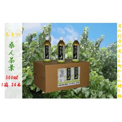 ふるさと納税 太良町 太良の桑ん葉茶(ペットボトル) 1箱　O134