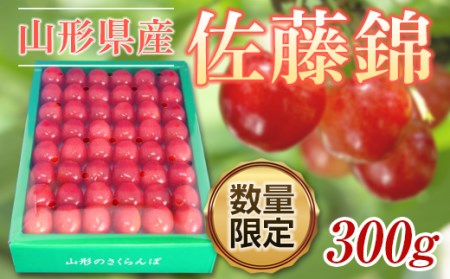 《先行予約 2026年度発送》無加温♪山形さくらんぼ佐藤錦L300g手詰【5月中旬～6月上旬発送】 FSY-0419