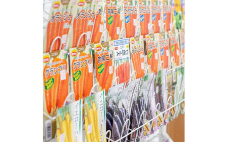 季節のおすすめ野菜おまかせ詰め合わせ6ヵ月定期便 8種～12種類【16104】