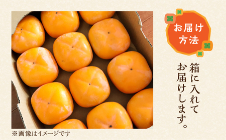≪先行予約≫ 豊橋石巻柿工房の『次郎柿』3kg