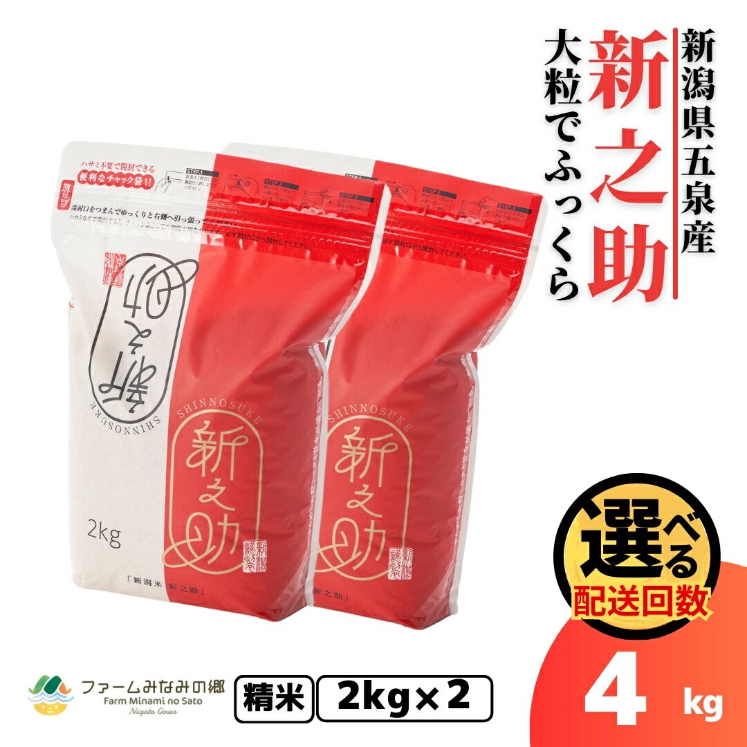 【ふるさと納税】 令和7年産 新米 米 4kg ( 2kg × 2袋 ) 五泉産 新之助 選べる回数 | 白米 精米 しんのすけ お米 おこめ コメ こめ 新潟県 五泉市 有限会社ファームみなみの郷