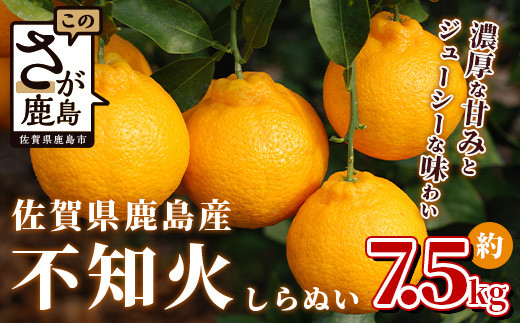 
佐賀県鹿島産 不知火 しらぬい 約7.5kg サイズ混合 みかん 蜜柑 ミカン 柑橘 くだもの 果物 フルーツ 不知火みかん ふるさと納税 佐賀県 鹿島市 B-114
