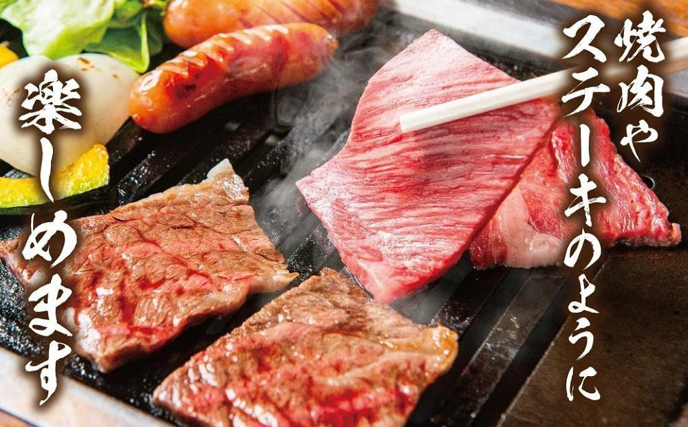 【2026年4月～7月発送】飛騨牛 訳あり焼肉1kg 切りおとし | 牛肉 訳あり 部位 大きさ 不揃い 日付指定不可 冷凍 焼き肉 BBQ バーベキュー 切落し 和牛 牛肉 飛騨高山 株式会社丸明 