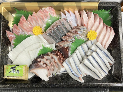 【2月お届け】【冷凍便】能登のお刺身盛り合わせセット（4人前）【復興支援】