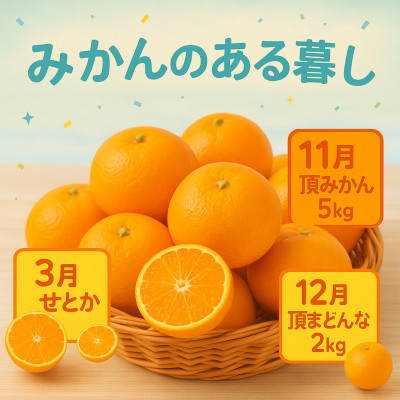 【発送月固定定期便】美味しいみかん柑橘のある暮らし【みかん・まどんな・せとか】【G31−43】全3回【4058604】
