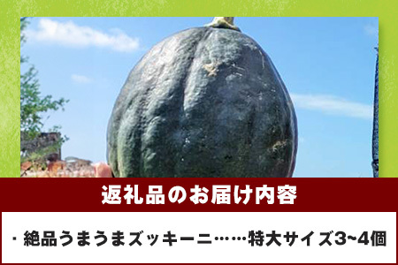 希少！「絶品うまうまズッキーニ」特大サイズ3～4個 贈答用にも！農薬を使わず、特許製法のシリカ水で栽培する特別な野菜 11月～3月順次発送【 産地直送 沖縄県 石垣島産 丸ズッキーニ だるまズッキーニ