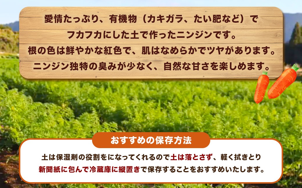 【訳あり】農家直送！ 土付き 人参 （向陽二） 10kg