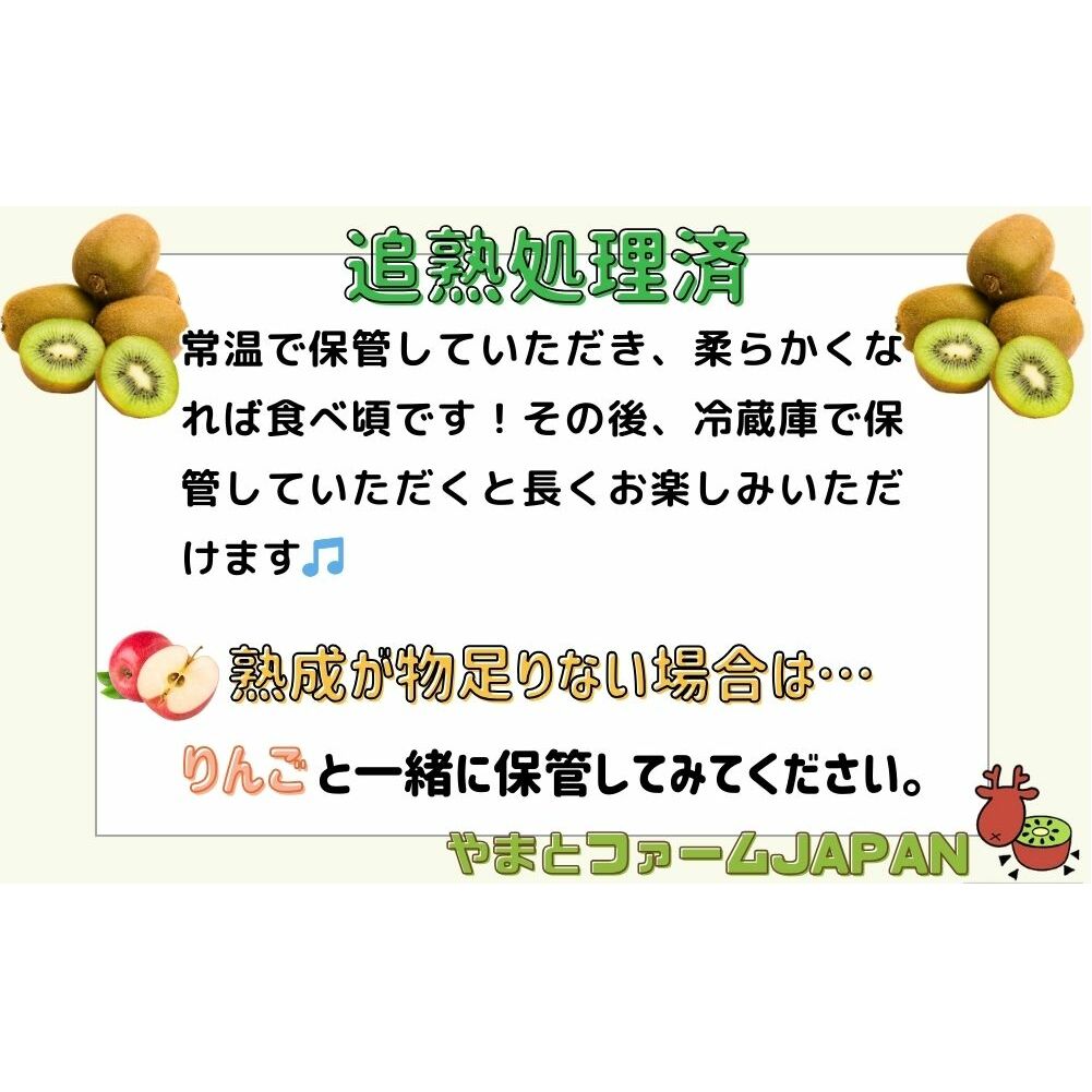 ＜12月〜3月発送＞プレミアム キウイ フルーツ Mサイズ 17個入 追熟処理済 ／ ふるさと納税 キウイ キウイフルーツ ギフト 栄養 果物 お土産 化学肥料不使用 特別栽培 塩 奈良県 宇陀市 や
