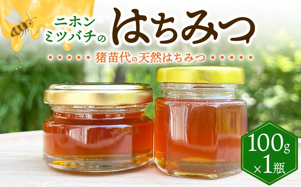 
                  ニホンミツバチのはちみつ （100g）
                