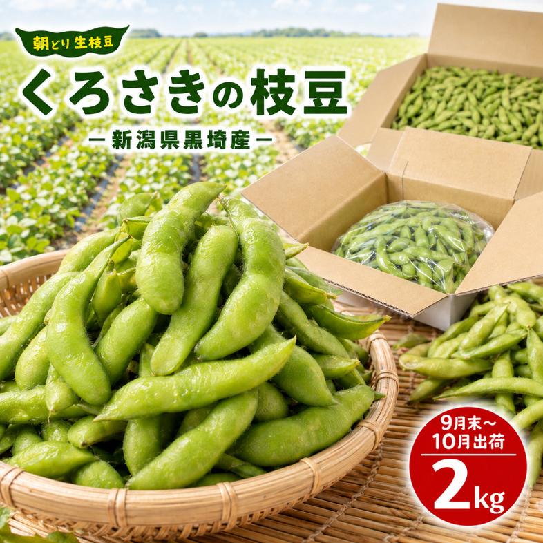 くろさきの枝豆 2kg 【9月末～10月配送】 新潟県黒埼産 朝ど
