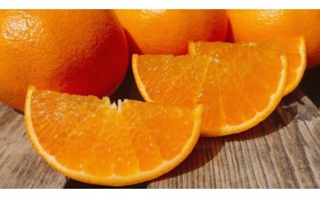 【2026年2月中旬から順次発送】家庭用 せとか5kg と 柑橘加工品セット | 愛媛 みかん 先行予約 蜜柑 柑橘 果物 くだもの フルーツ お取り寄せ グルメ 期間限定 数量限定 人気 おすすめ 