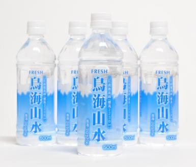 SB0009 鳥海山水　500ml×24本入り　2ケース