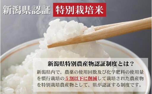 先行予約 令和8年産 新潟県上越市産 特別栽培米 コシヒカリ  15kg（5kg×3袋）ご飯 おにぎり