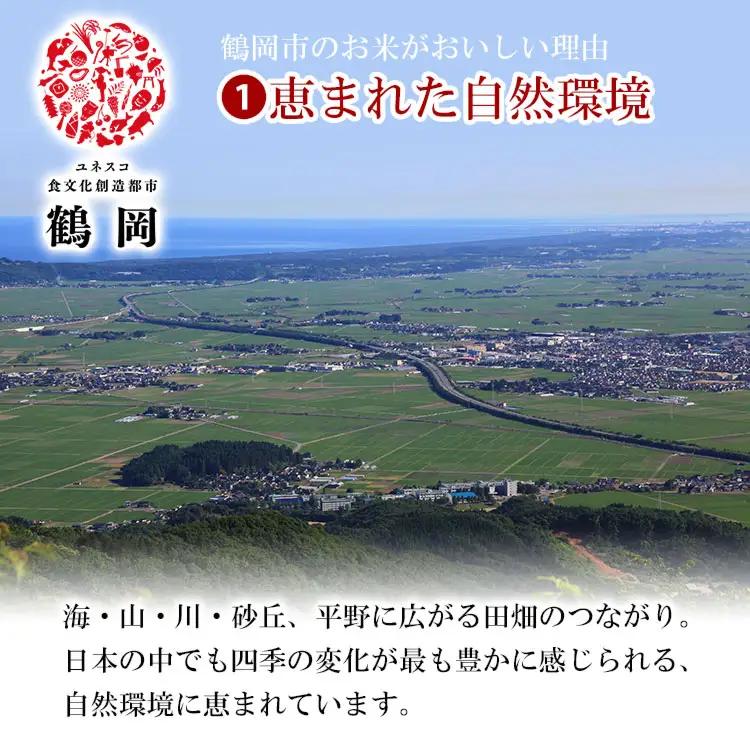 【令和7年産】 ササニシキ 精米 15kg (5kg×3袋)　山形県 庄内産　米食味鑑定士お薦め　| ささにしき 15キロ 米 お米 コメ 白米 食品 ご飯 ごはん 美味しい おいしい ブランド米 お