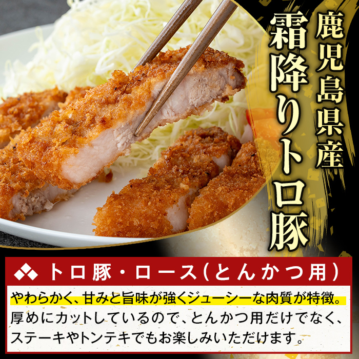K-382-B 鹿児島県産霜降りトロ豚 ロースとんかつ用(計1kg)【KNOT】霧島市 肩ロース 豚カツ トンカツ 豚肉 国産 鹿児島県産 肉 精肉 小分け