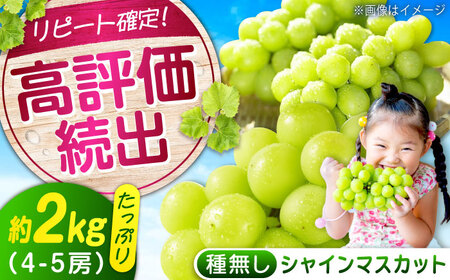 沼隈ぶどう「シャインマスカット」約2kg [BAEV004]シャインマスカットシャインマスカットシャインマスカットシャインマスカットシャインマスカット