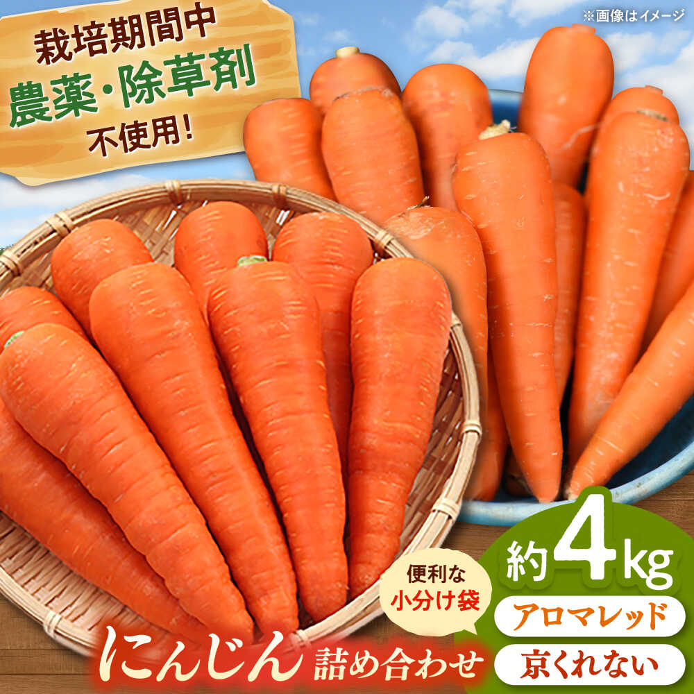 【ふるさと納税】[栽培期間中農薬不使用] 人参 2種詰め合わせ（アロマレッド・京くれない）（計10袋） ▼ 美味しい 人気 旬 桂川町/合鴨家族 古野農場[ADAL017]
