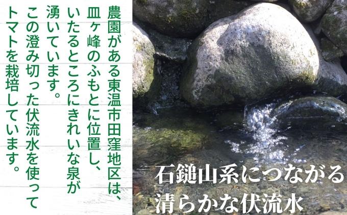 「栗林農園」素のままパスタソースとカラフルミニトマト詰合せ