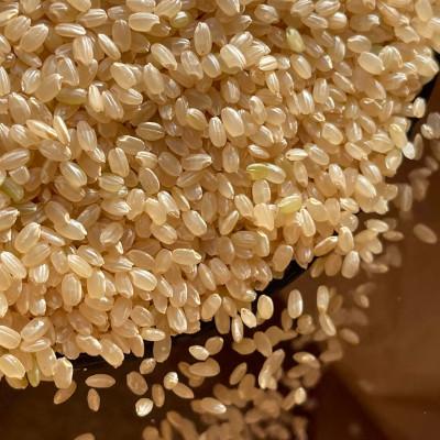 ふるさと納税 北杜市 【米粉の玄米麺】(スープ付)2食入×5袋　味噌ラーメン　半生　特別栽培『コシヒカリ』使用 |  | 03